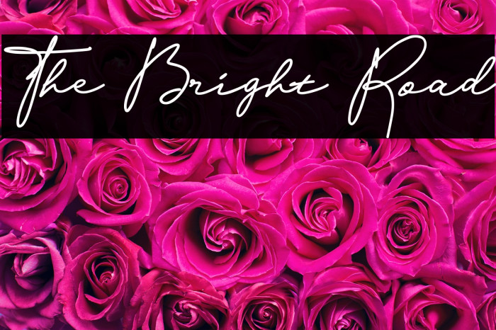 The Bright Road Example 1