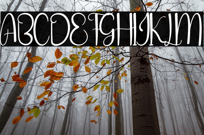 The Brighty Example 1