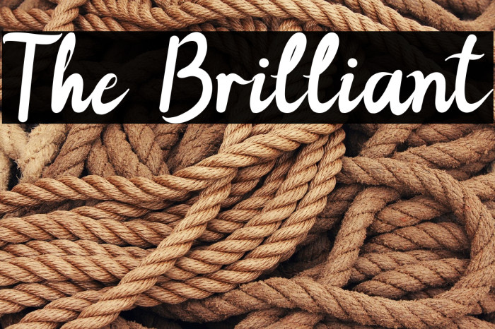 The Brilliant Example 2