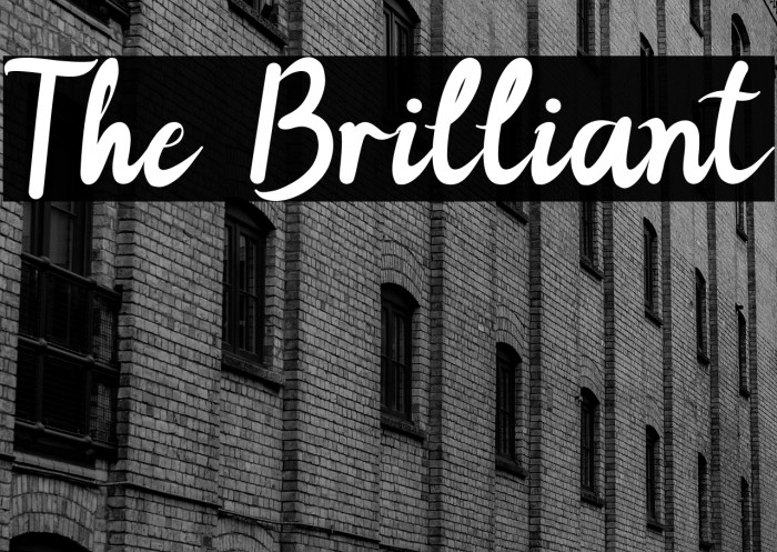 The Brilliant Example 3