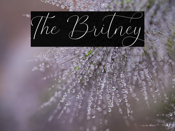 The Britney Example 1