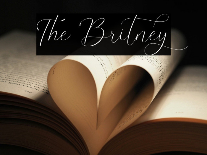 The Britney Example 2