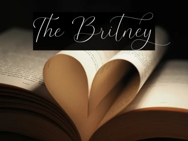 The Britney Example 2