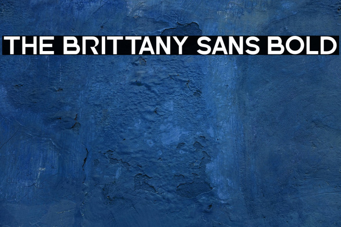 The Brittany Sans Bold Example 3