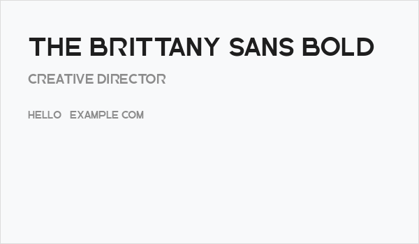 The Brittany Sans Bold Business Card