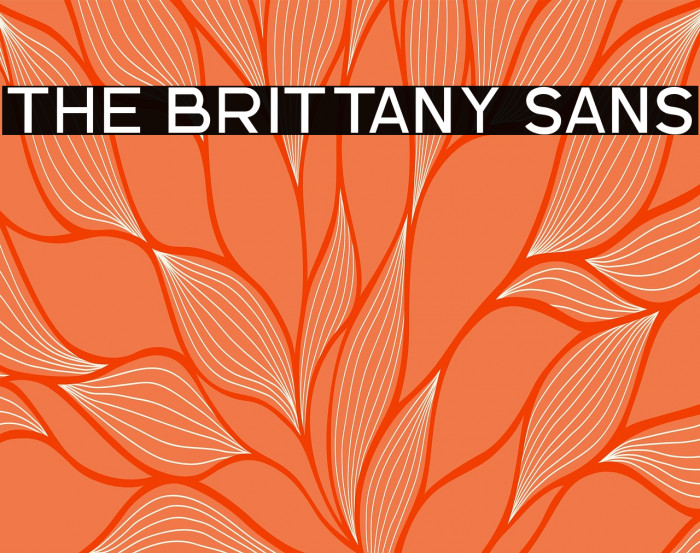 The Brittany Sans Example 2