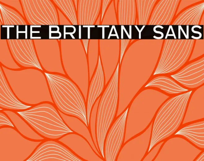 The Brittany Sans Example 2