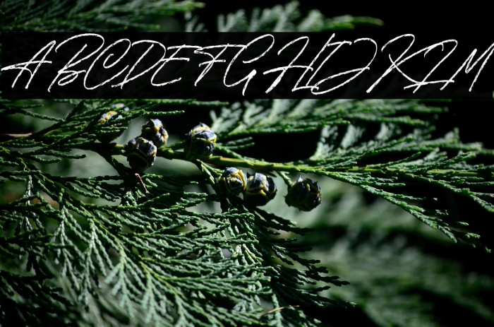 The Broadband Personal Use Reg Example 1