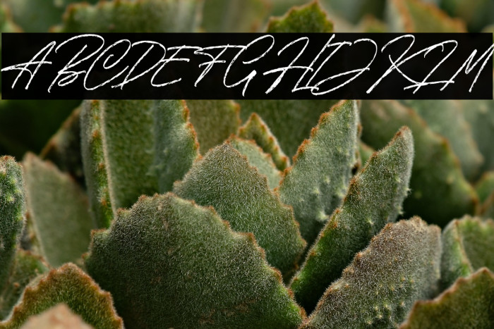 The Broadband Personal Use Reg Example 2