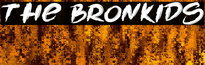 The Bronkids Example 1