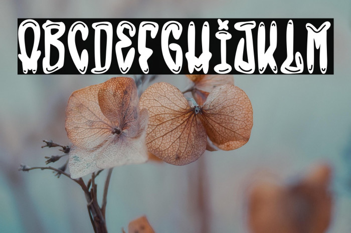 The Bronx Style Example 1