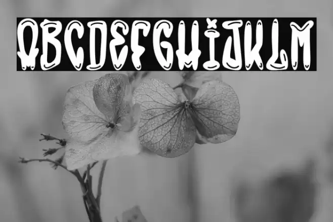 The Bronx Style خط examples