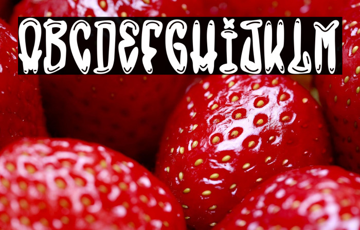 The Bronx Style Example 2