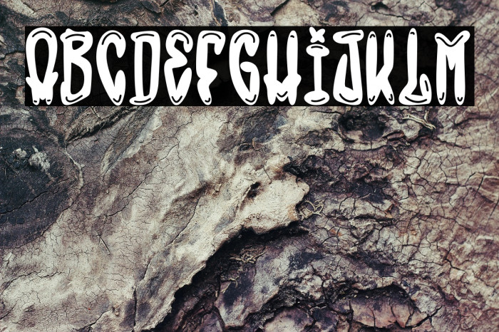 The Bronx Style Example 3