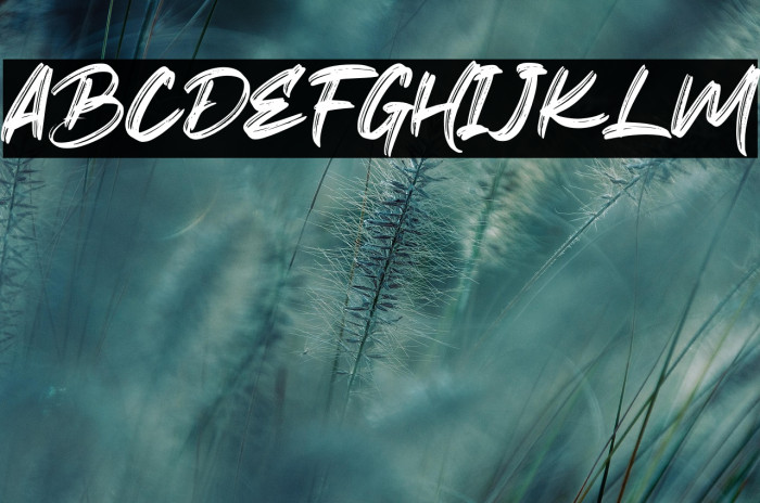 The Brother Hoops Example 3