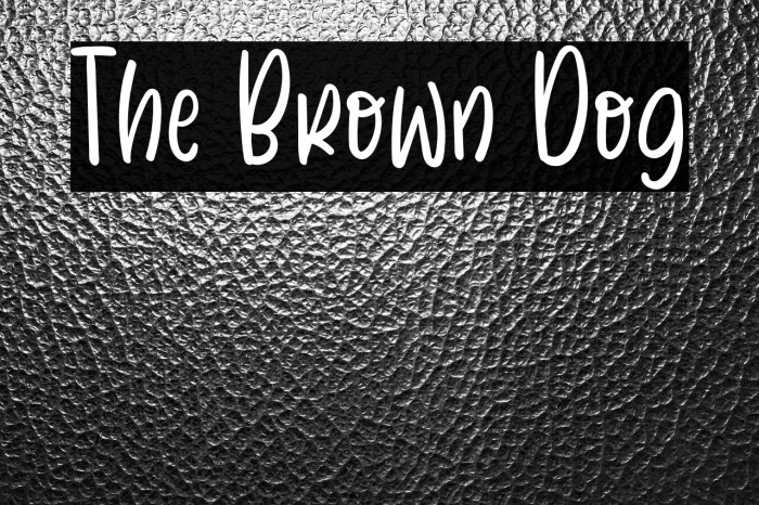 The Brown Dog Example 2