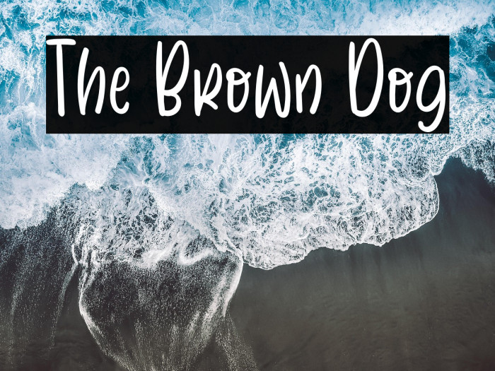 The Brown Dog Example 3