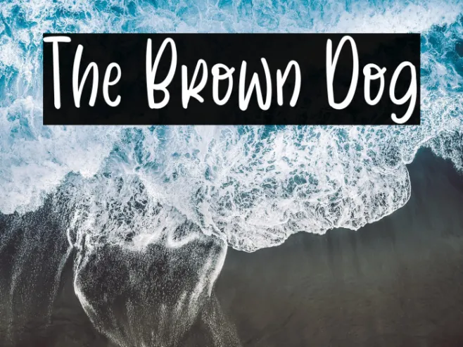 The Brown Dog Example 3