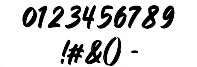 The Brown Fox Regular Font OTHER CHARS