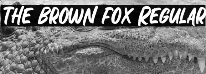 The Brown Fox Regular Font examples