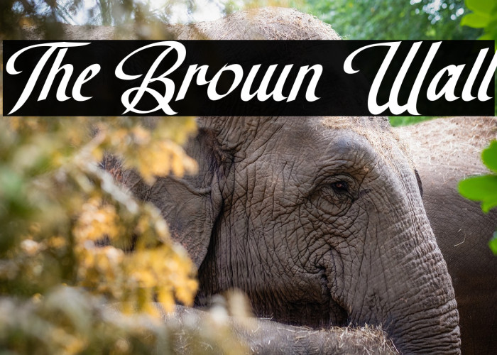 The Brown Wall Example 1