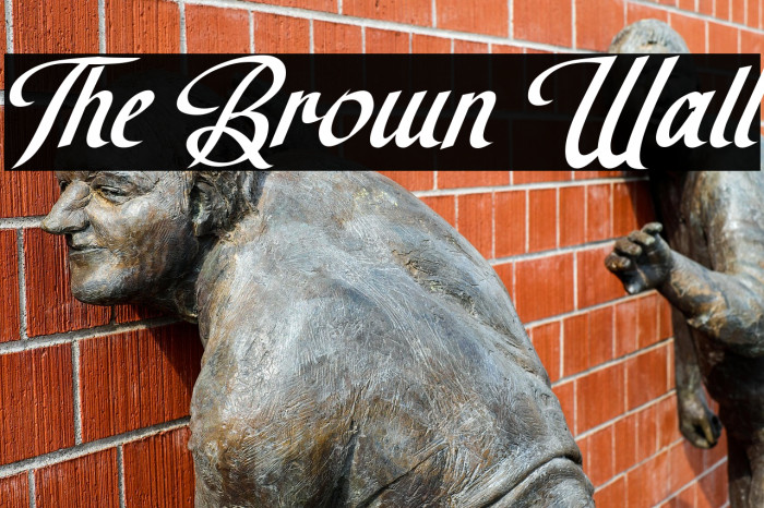 The Brown Wall Example 2