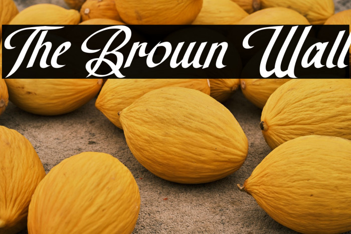 The Brown Wall Example 3