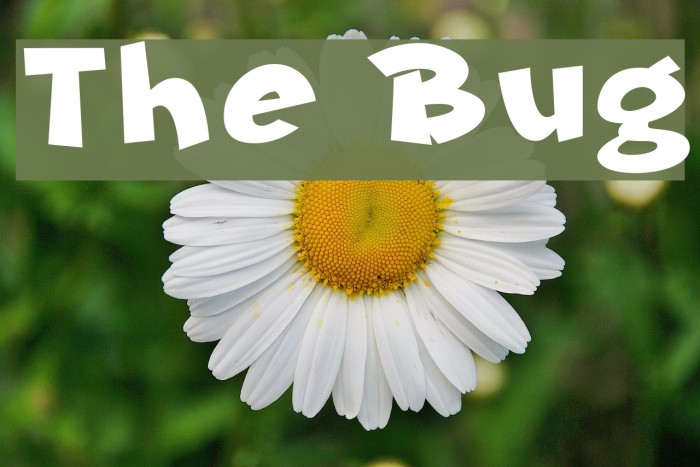The Bug Font examples