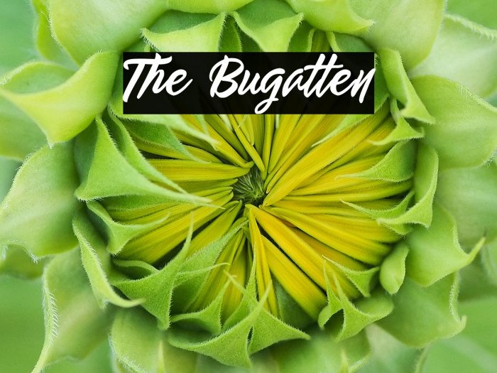 The Bugatten Example 2