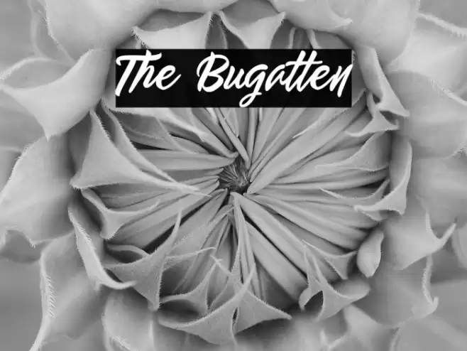 The Bugatten Font examples