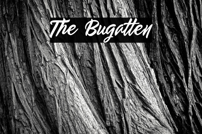 The Bugatten Example 3