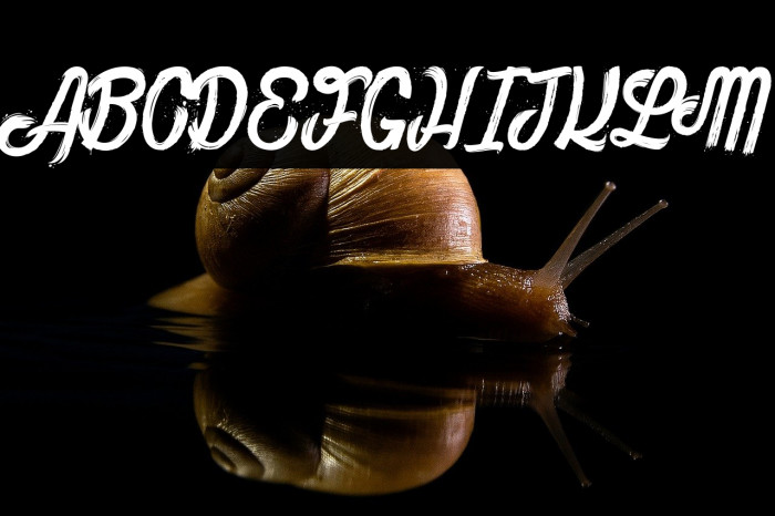 The Bully_PersonalUseOnly Example 1