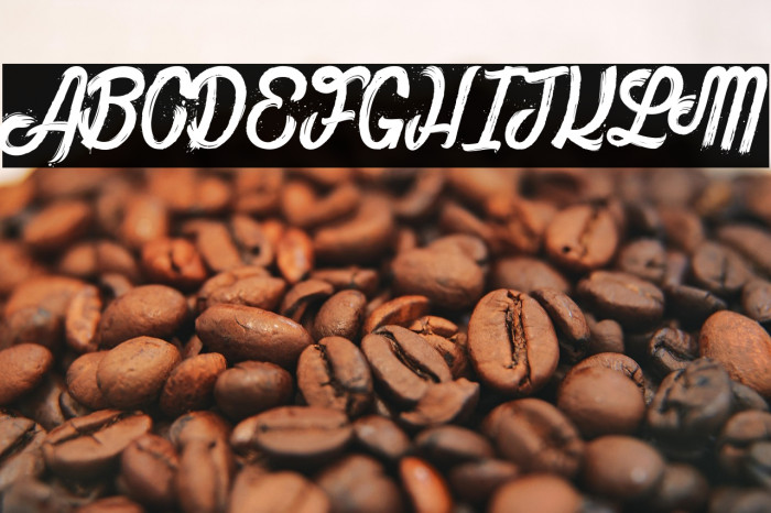 The Bully_PersonalUseOnly Example 2