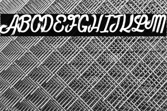 The Bully_PersonalUseOnly Example 3