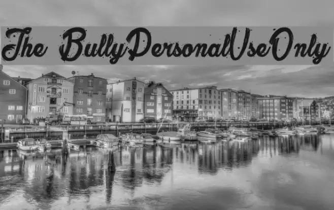 The Bully_PersonalUseOnly Polices examples