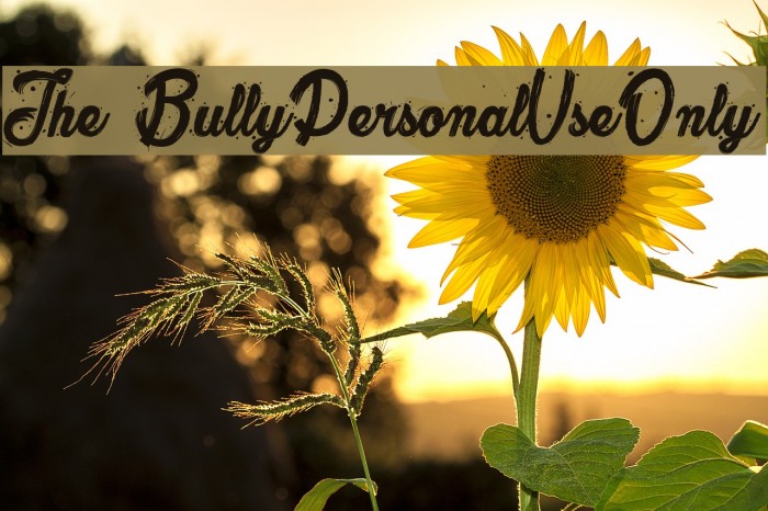 The Bully_PersonalUseOnly Font examples