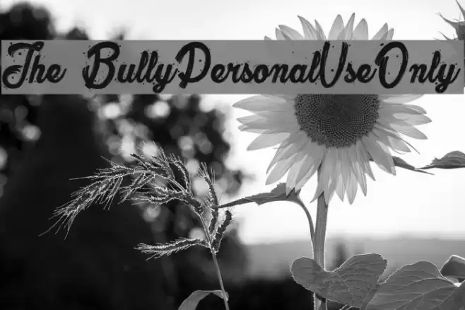 The Bully_PersonalUseOnly Polices examples