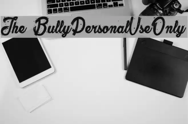 The Bully_PersonalUseOnly Polices examples