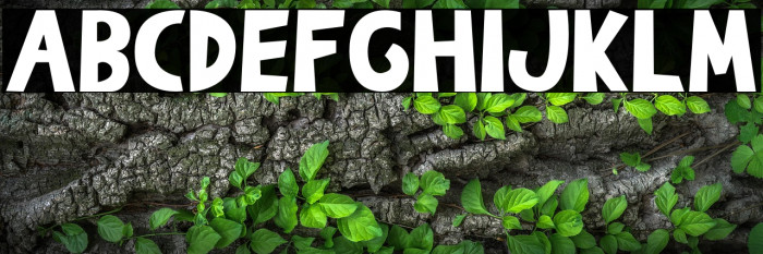 The Burcey Example 1