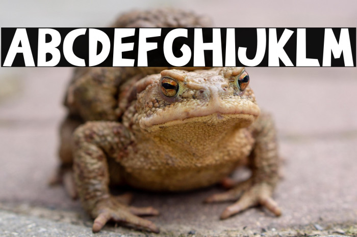 The Burcey Example 3