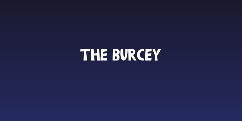 The Burcey Social Header