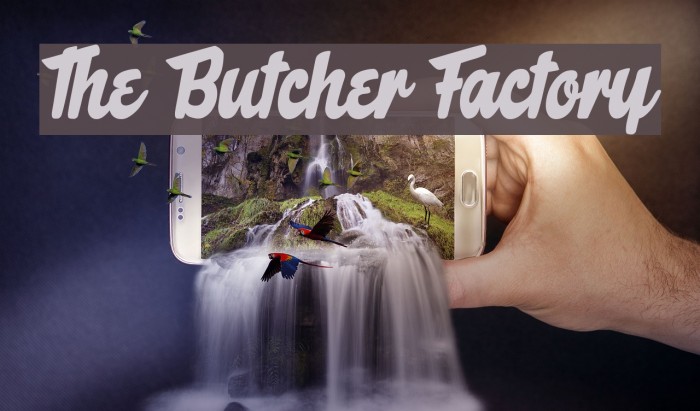 The Butcher Factory Font examples