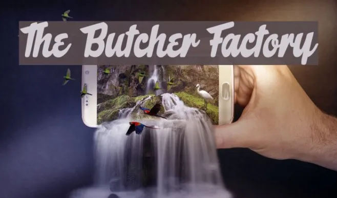 The Butcher Factory Example 3