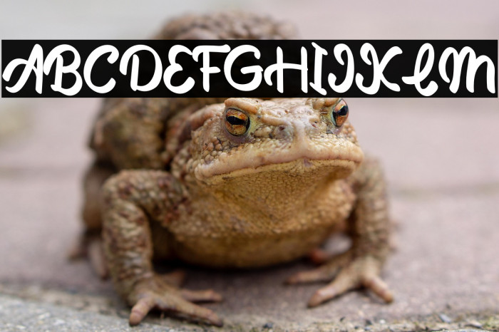 The Butter Example 2