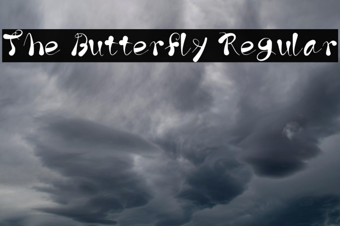 The Butterfly Regular Example 1