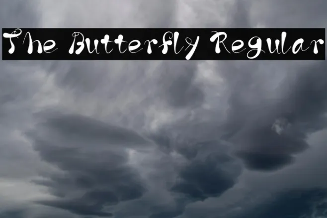 The Butterfly Regular Example 1