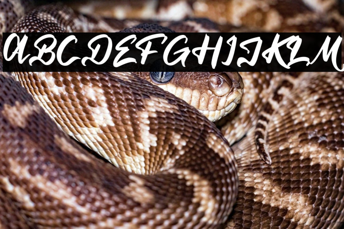 The California Hustle Example 2