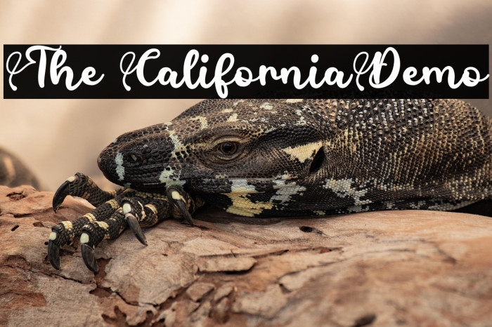 The CaliforniaDemo Example 3