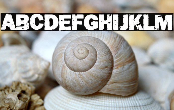 The Camposanto Example 1