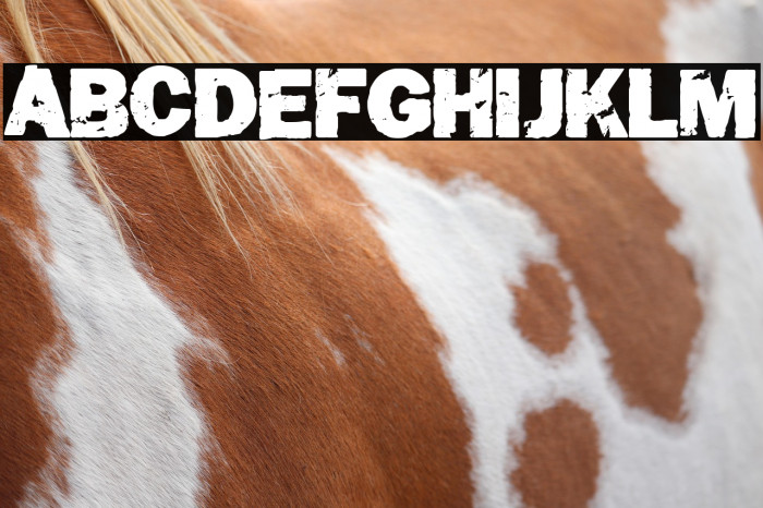 The Camposanto Example 3